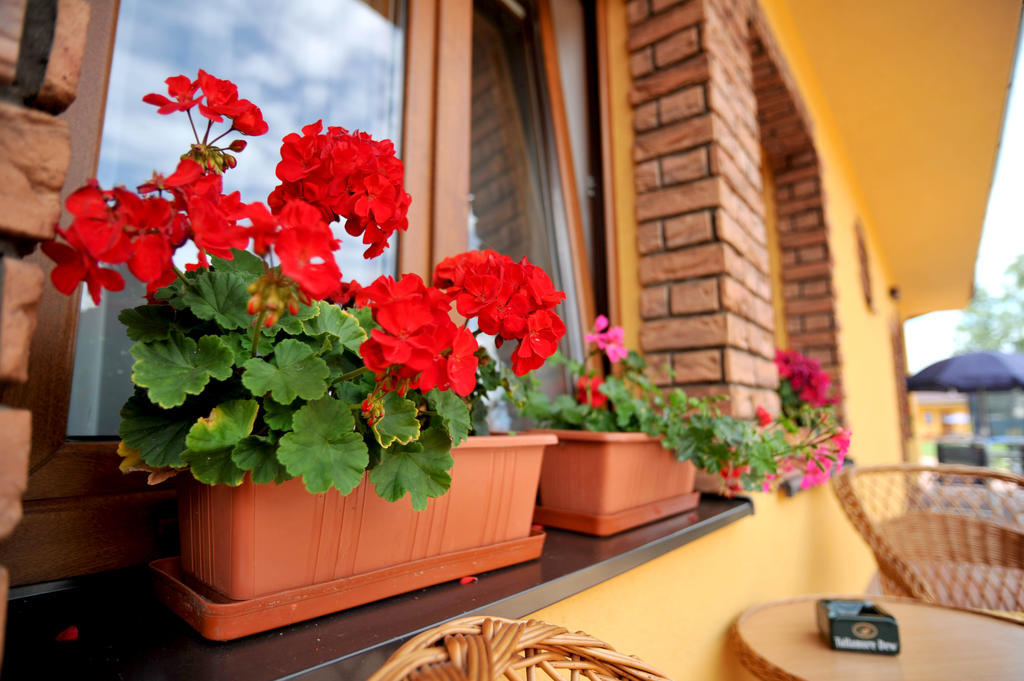 Penzion Anesis - Apartmany Turčianske Teplice Extérieur photo
